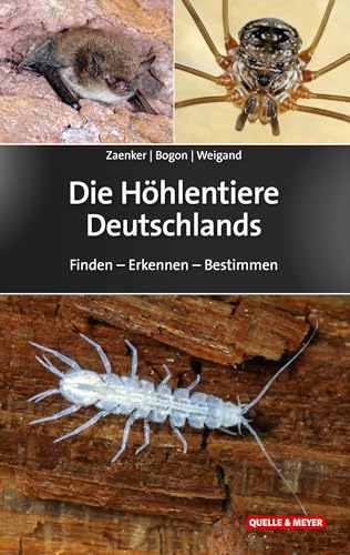 Die Höhlentiere Deutschlands: Finden – Erkennen – Bestimmen (Quelle & Meyer Bestimmungsbücher) von Quelle + Meyer